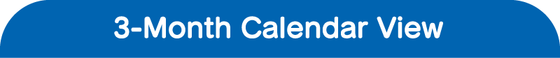 3-Month Calendar View